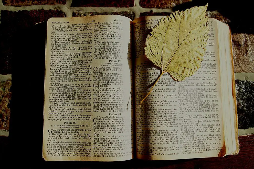 bible-1166261_1920 (1)