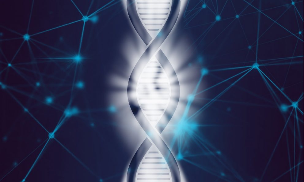 genoma-humano