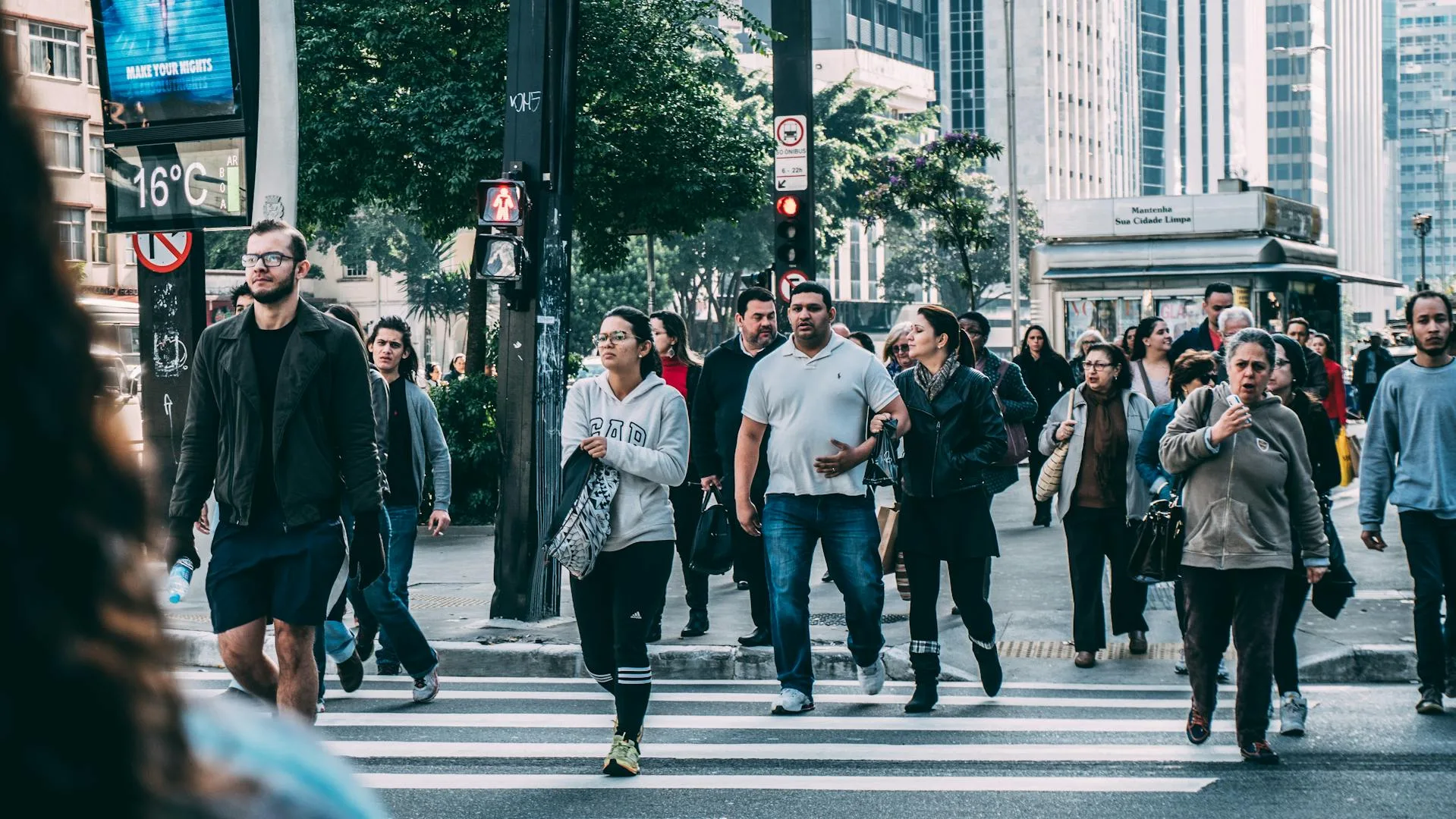 Significado de "Social": Origen, Usos y Conceptos Relacionados